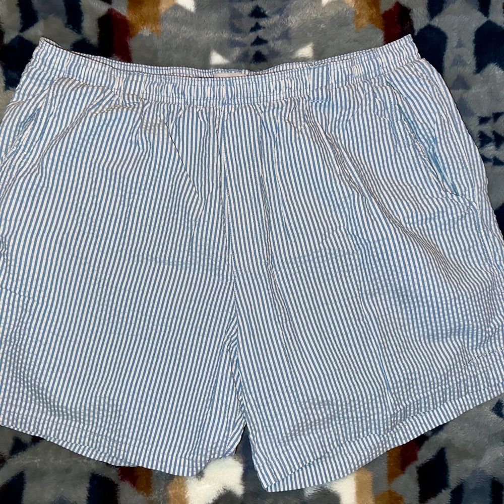 Blue & white Striped men’s Shorts